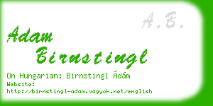 adam birnstingl business card