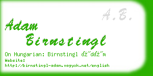 adam birnstingl business card